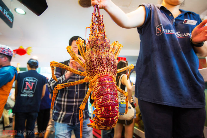 50ee5f0d8a3cd95b0b9a5bebbbc144de.jpeg 50ee5f0d8a3cd95b0b9a5bebbbc144de.jpeg